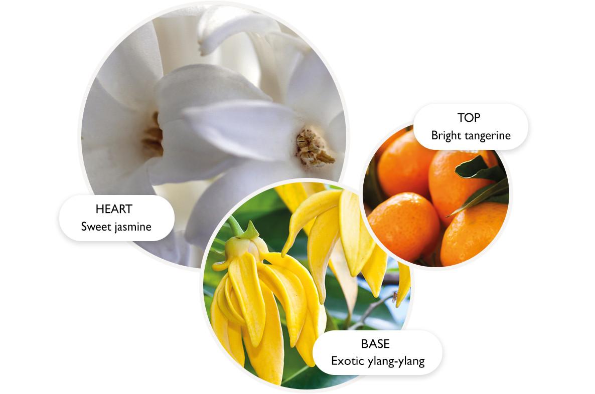 Relaxing Ylang-Ylang Bath & Shower Gel