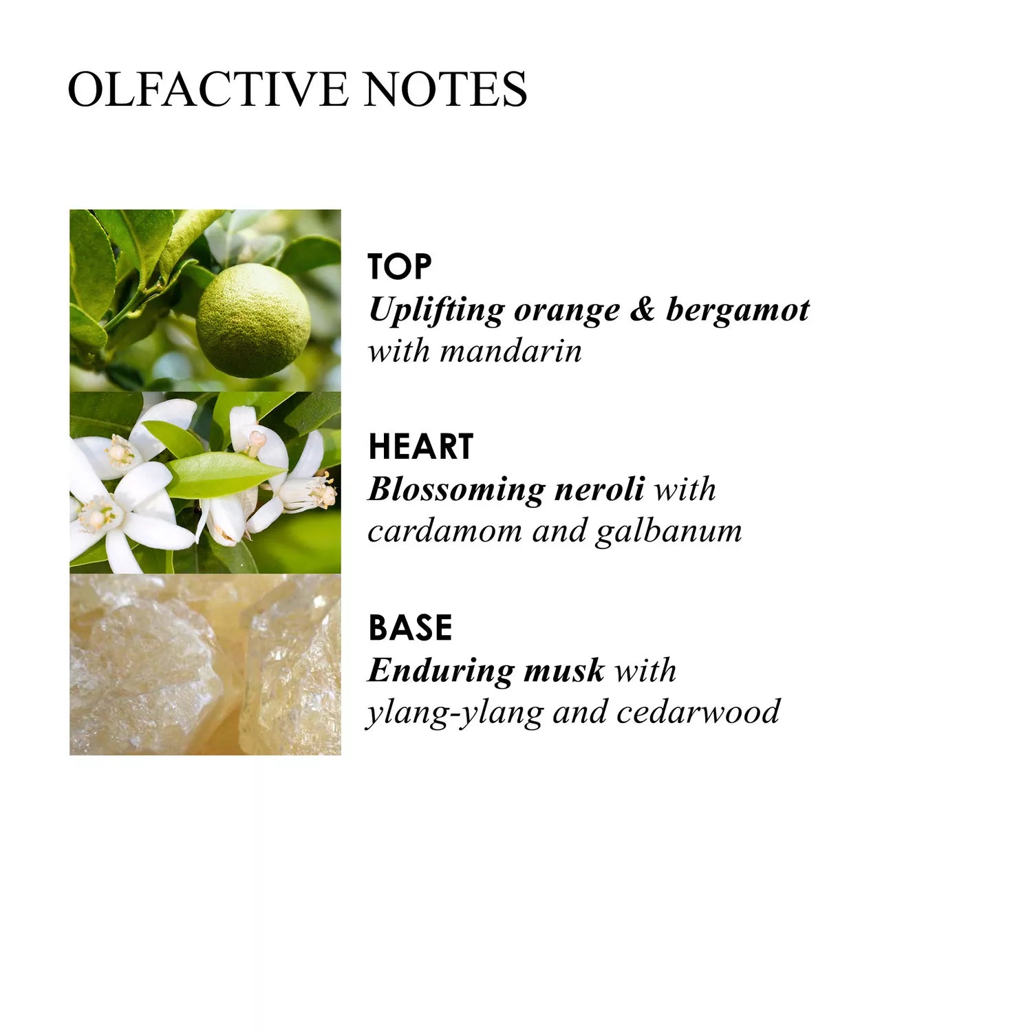 Molton Brown Sample 3